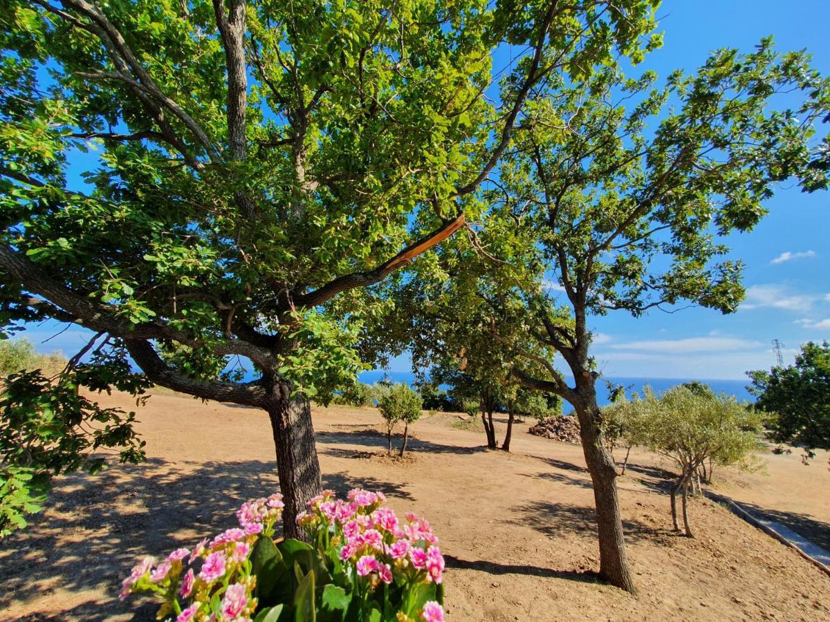 Agriturismo Le Terre Di Venere Acciaroli Eksteriør billede