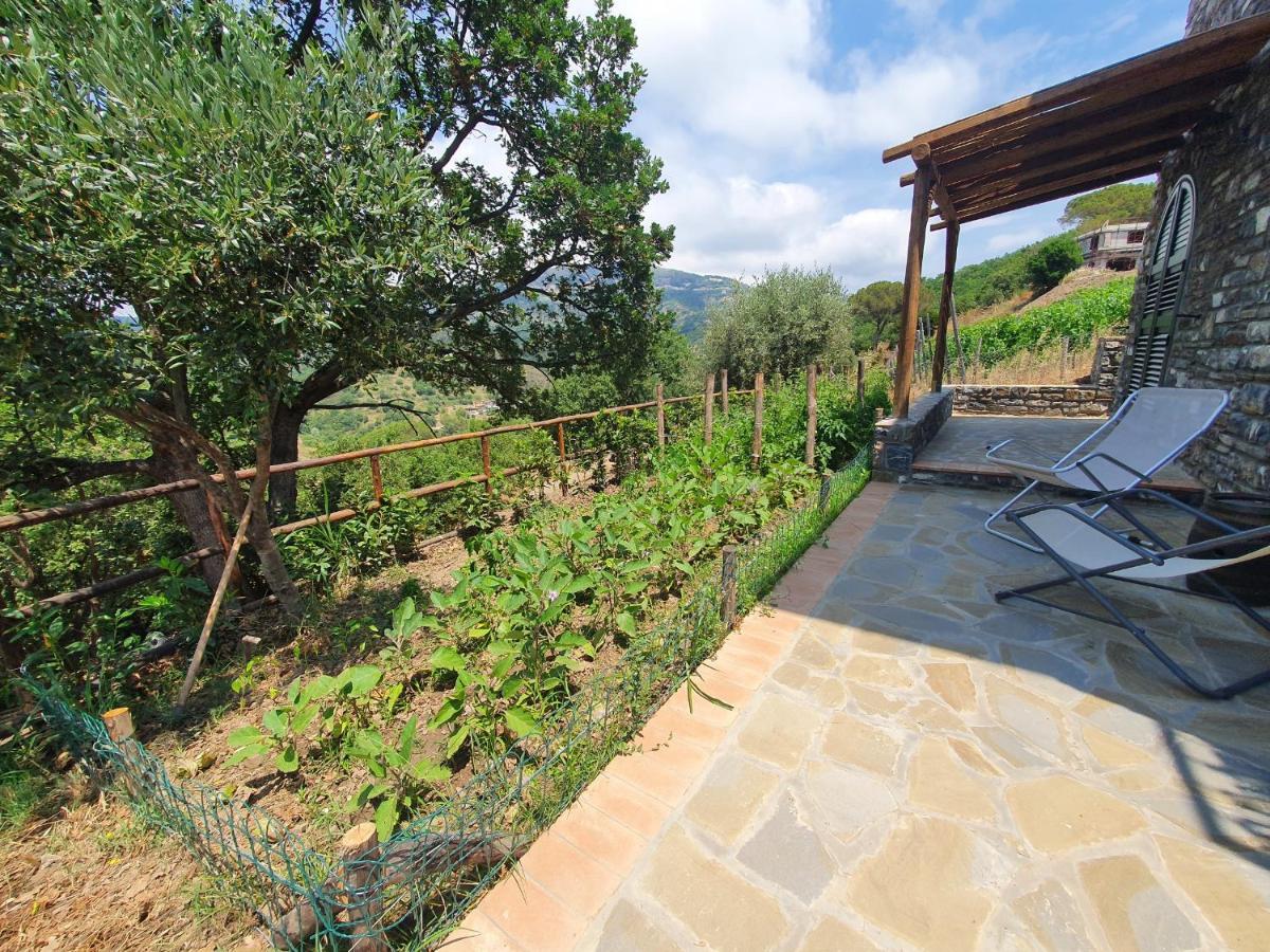 Agriturismo Le Terre Di Venere Acciaroli Eksteriør billede