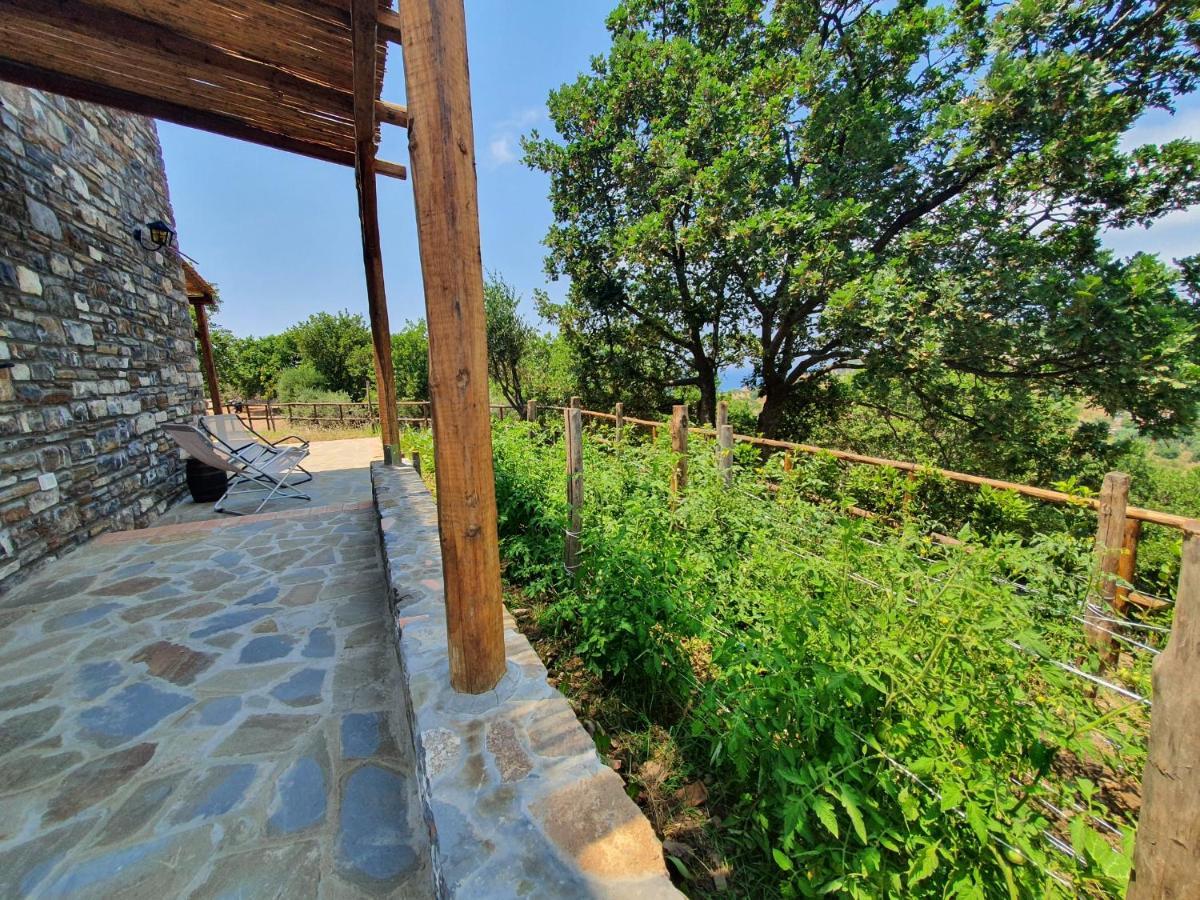 Agriturismo Le Terre Di Venere Acciaroli Eksteriør billede