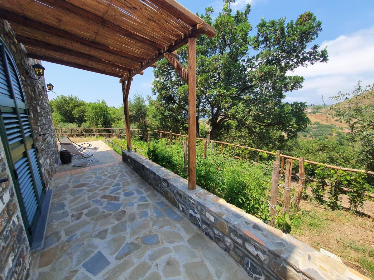 Agriturismo Le Terre Di Venere Acciaroli Eksteriør billede