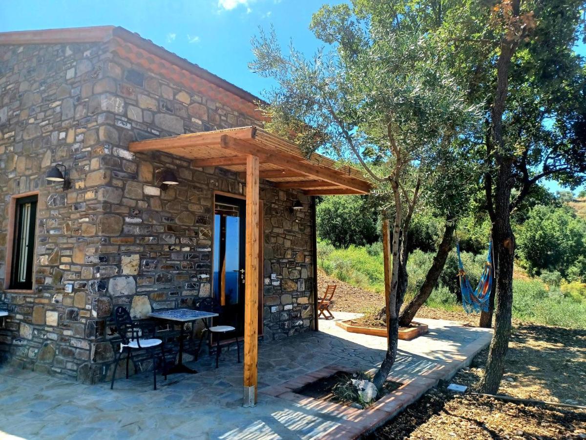 Agriturismo Le Terre Di Venere Acciaroli Eksteriør billede