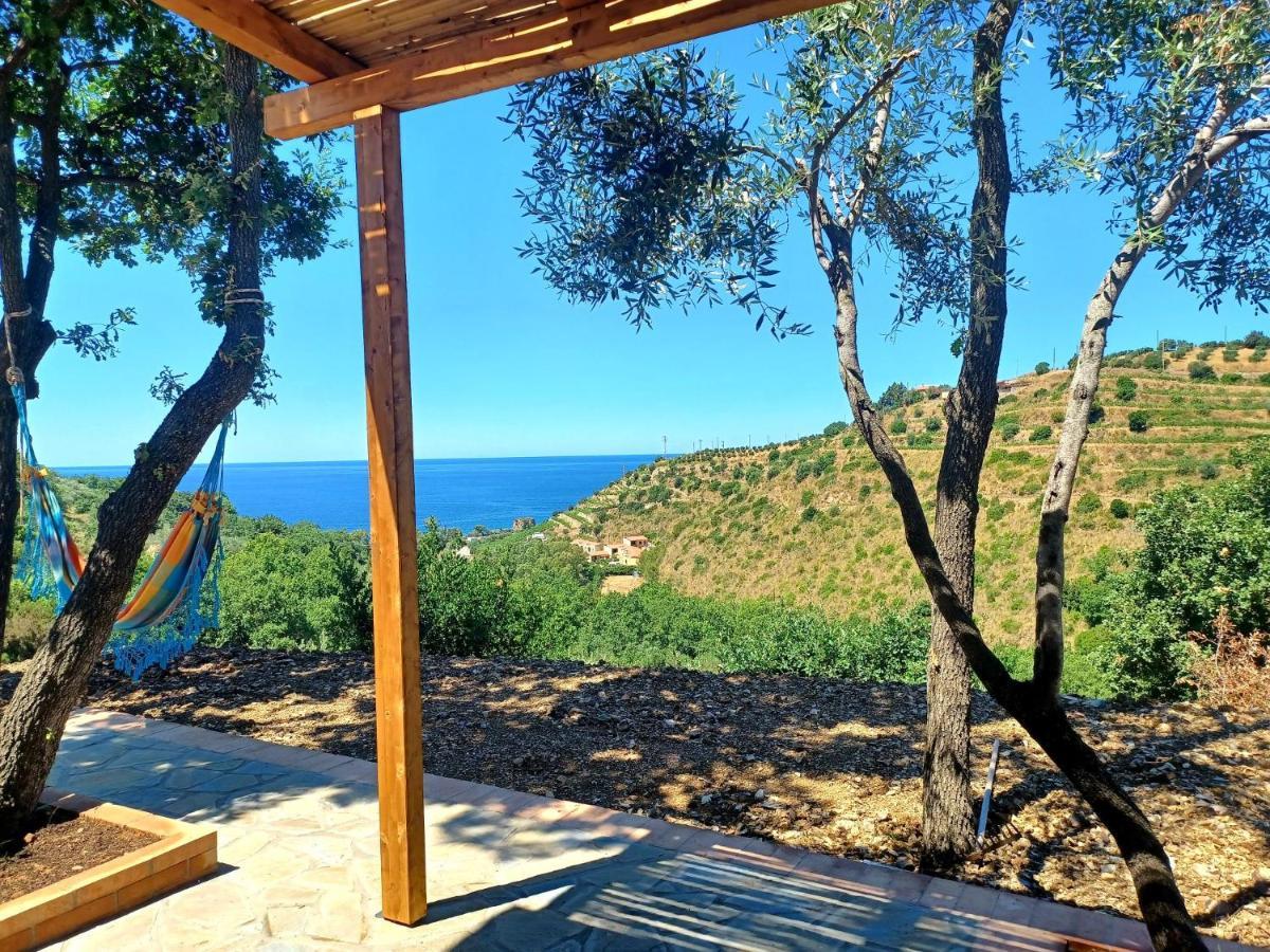 Agriturismo Le Terre Di Venere Acciaroli Eksteriør billede